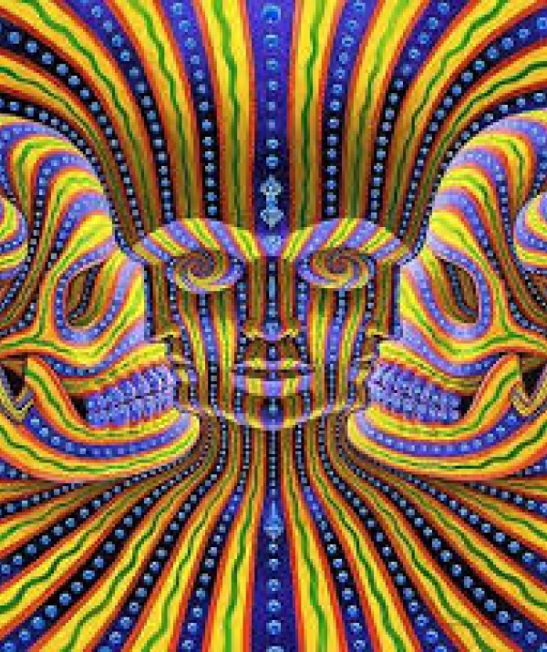 Văn học Phật giáo - Ảo ảnh của tâm