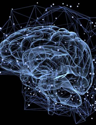 Văn học Phật giáo - Cảm tính dưới góc nhìn Tâm lý và Phật giáo