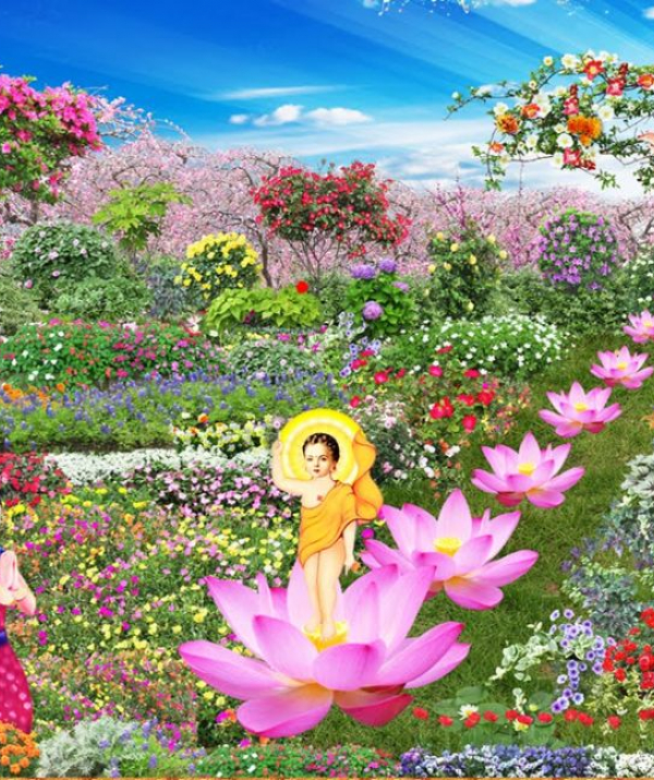 Văn học Phật giáo - MỪNG SINH NHẬT PHẬT