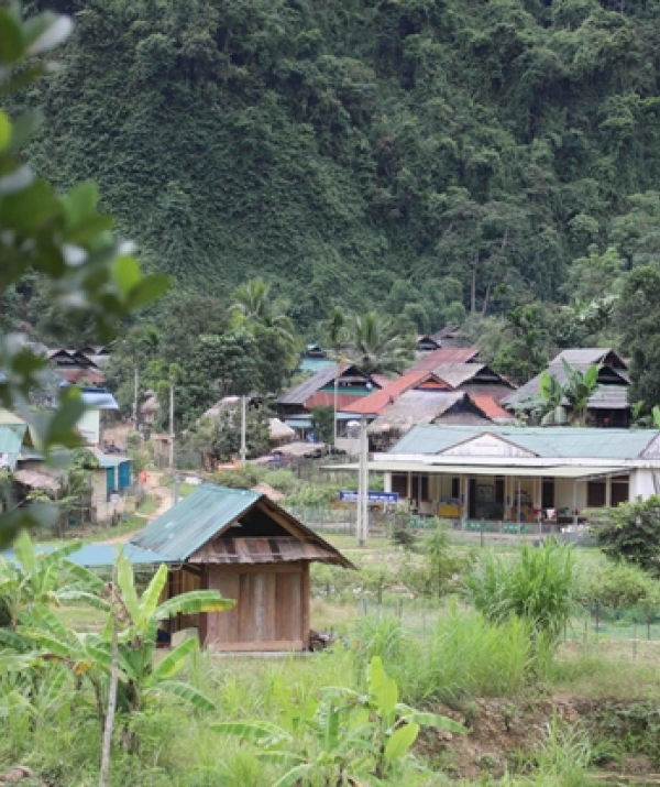 Văn học Phật giáo - ĐUỔI THEO ÁNH SÁNG