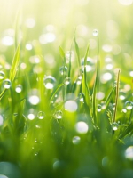 THÌ THẦM TRONG TRỜI ĐẤT