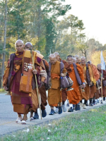 BƯỚC CHÂN HÒA BÌNH