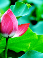 CÒN CHÚT CHI SAU LỄ