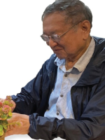 Phương tiện thiện xảo