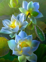 Thử đi cho biết